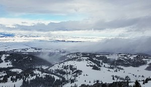 Skier Dies After Falling Into Tree Well at Wyoming Resort
