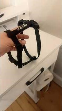 How to put Top-Paw harness on a dog or cat