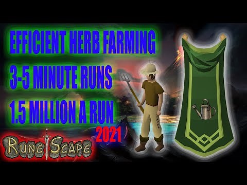 FAST & EFFICIENT HERB RUN GUIDE (23M/HR) RUNESCAPE 3