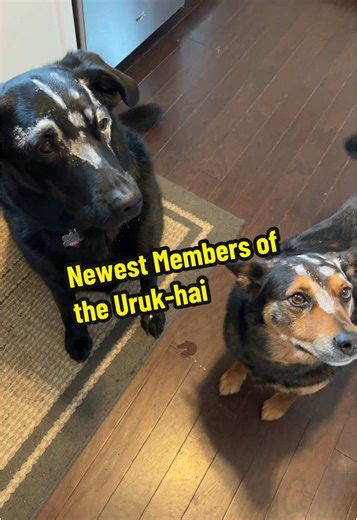 Exploring the Most Deadly Uruk-hai from LotR