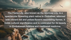 Unveiling Zimbabwes Botanical Marvels: Top 10 Indigenous Flora