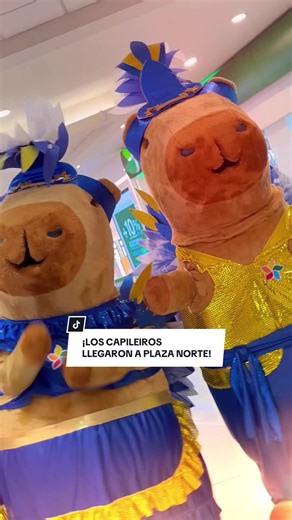 💃🥁 ¡El Carnaval está presente en #PlazaNorte! 🇧🇷✨ Los Capileiros llegan con ritmo, color y toda la energía que enciende la fiesta. 🎶🌈 Vive la experiencia y deja que tus compras te lleven al Carnaval de Río de Janeiro. ✈️🎉 🛍️ Dinámica: ✔️ Compra desde S/50 en cualquier tienda de Plaza Norte registra tu ticket y participa. 👉Más información en el link de la BIO. 📌 No participa Expomotor 🎉 Sorteo: 23 de enero – 4:00 p.m. #Capileiros #CarnavalDeRío #Carnaval2026 #RíoDeJaneiro