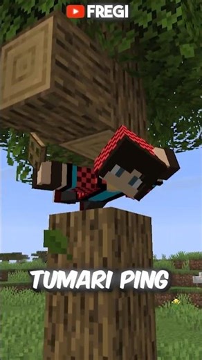 Minecraft Server Lag FIX in 30 Sec...