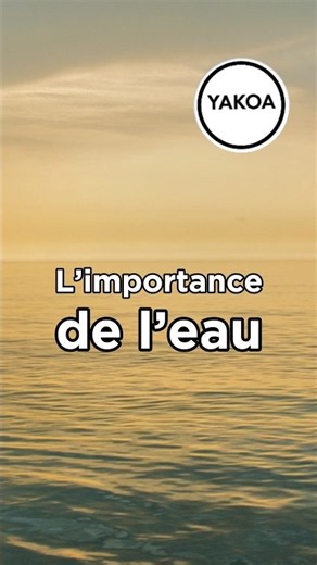 Exposition « L’importance de l’eau - Leçons de Mésopotamie » au Musée du Louvre