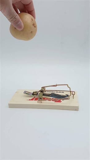 Mouse Trap vs Potato - See what happens?