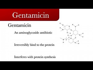 Gentamicin aminoglycoside antibiotic | Gentamicin antibiotics and gentamicin uses