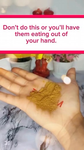 69K views · 829 reactions | Don't do this or you'll have them eating...