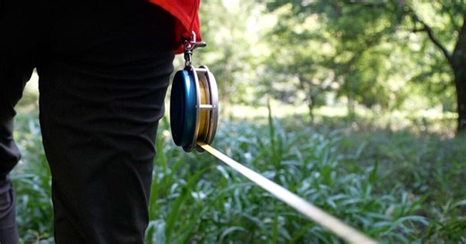 Storm shields with roots: How trees are protecting Florida this hurricane season