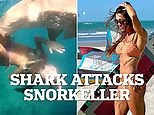 Moment-shark-attacks-snorkeller-gruesome-injuries-Brazil.html