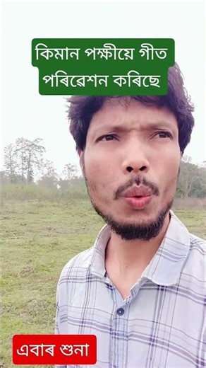 Birdsong to Beat: Ultimate Guide to Singing with Nature🍄🍁