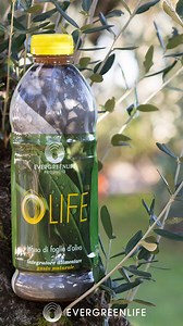 Un inizio settimana carico di energia 💪💥 con il nostro OLIFE, l'integratore alimentare naturale a base di OLIVUM®! 💚🌿 Buona settimana a tutti amici Evergreeners! 😎 | Evergreen Life Products Srl