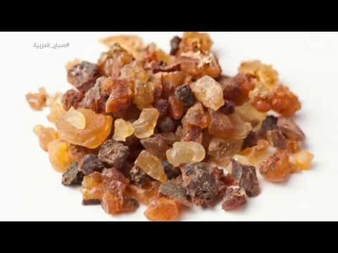 تعرف على "صمغ المرة" وفوائده