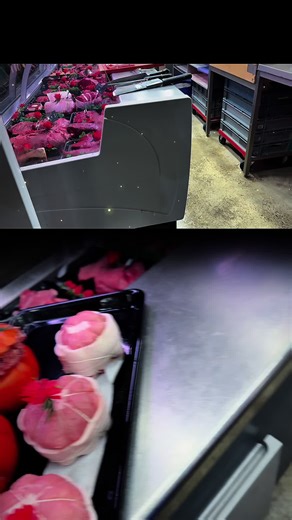 Vidéos de 🇵🇹🏉Rugbyman_boxe 🇫🇷🇵🇹 (@rugbymanboxe) avec son original - 🇵🇹🏉Rugbyman_boxe 🇫🇷🇵🇹