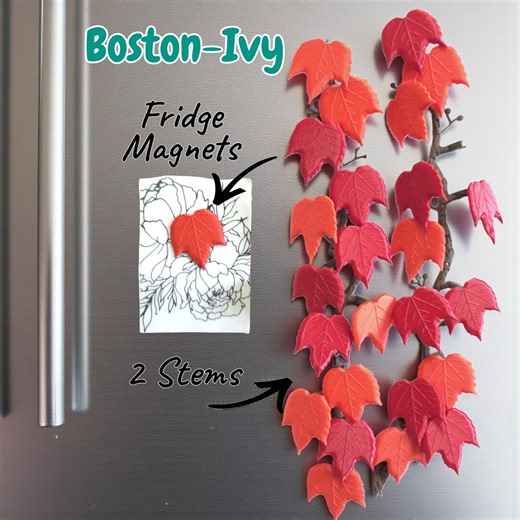 3D Printed Boston Ivy Fridge Magnet | Modular Plant Wall Art - Etsy UK