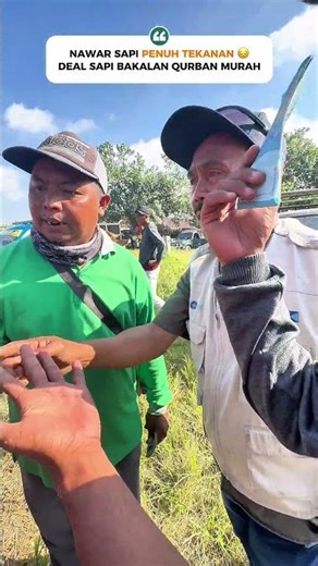 NGERI😡NAWAR SAPI PENUH TEKANAN #seru #heboh #nawar #sapi #crazy #murah #viral #fyp #show #review