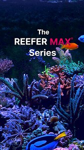 The REEFER MAX series - Plug and Play smart reef systems! | Red Sea