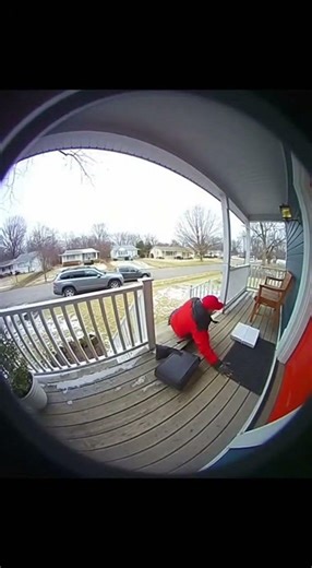 This Delivery Did Not Go as Planned!