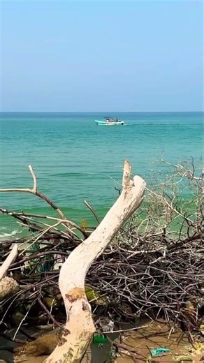 Baththalangunduwa beach camping 🌊⛺️🏝️ https://youtu.be/c_56XqhmqPc?si=dOLWrKXXyxcxVKIL