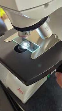 Basic stage and focus operation Leica DM500 microscope