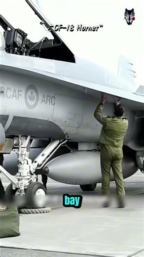 The Secret of the Integrated Climbing Ladder on Military Aircraft!