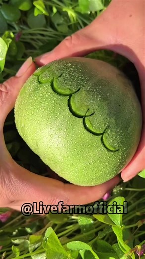 Discover the Joy of Farm Life and Fresh Fruits