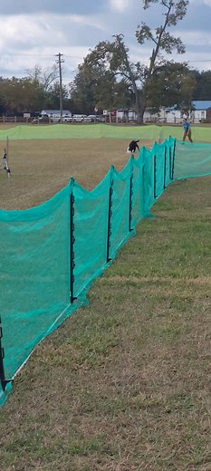 18 reactions | Dazy's DCAT title run! Go Dazy! | Fullcircle Curly-Coated Retrievers | Facebook