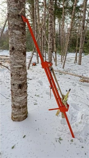 Homemade Tree Pusher for Tree Felling