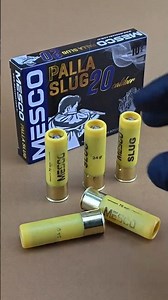 MESCO Palla Slug 20 Gauge İçerik İncelemesi / Hunting Cartridge Review / Shotgun Slug Review