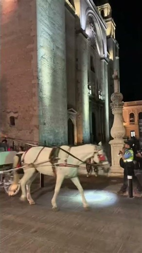 This is Merida and Uxmal 🇲🇽 #merida #uxmal #yucatán #mexico #mexicotravel