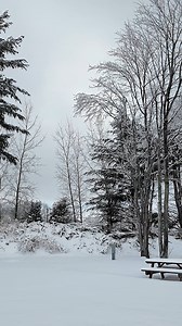 I got out there today with my new camera, and the video quality is going to be even better now! What better way to show it off than with these beautiful snowy shots of the park! Let me know if your favorite site made an appearance! Bonus points if you remember the name of the island I'm on at the end. 🤔 #waterfrontviews #luxuryrv #centralny #syracuseny | Swan Bay Resort - 1000 Islands Premier RV Park & Marina