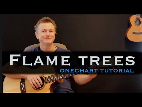 Flame Trees Cold Chisel guitar tutorial | lesson