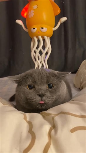 Kids can’t stop laughing with this Dancing Squid! 🐙✨ It wiggles, glows, and plays music while moving around the floor — your little one will be amazed watching it dance and follow the beat! The secret? Smart sensors that make it avoid obstacles and keep moving non-stop. Perfect for playtime, family moments, and as a fun gift that keeps them active and smiling! Now 35% OFF Free Shipping on 2 or more! Don’t miss out — this viral toy is selling out fast! Tap “Shop Now” and bring joy home today. | 