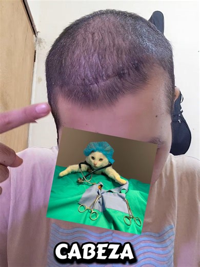 Videos de Batuta (@batutaa4) con “original sound - Pugberto Dancing Multiverse”