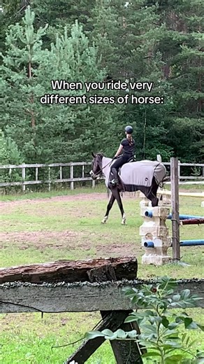 Understanding Horse Sizes: Riding Differences Explained