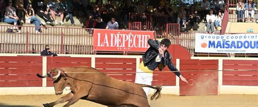 Course landaise : les arènes gasconnes réduites au silence jusqu’au 4 novembre à cause d’un virus bovin