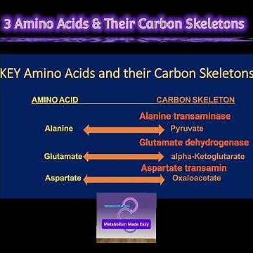 3 Amino Acids & Their Carbon Skeletons @Metabolism Made Easy