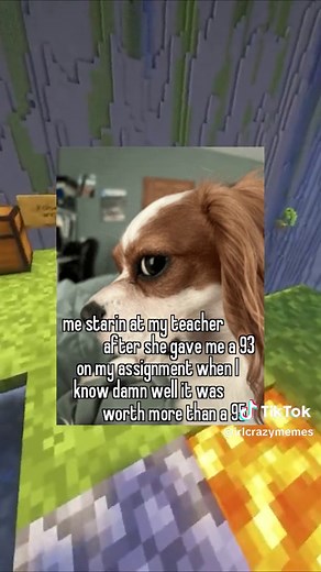 IRLMemeStories on TikTok