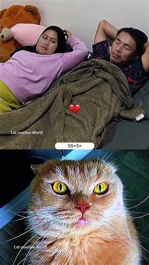 Try Not Laugh Challenge 466 #cat #funny #viral #reaction