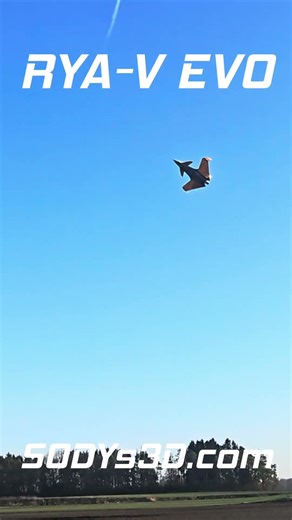 RYA-V EVO Vector – Preview of the long Hover Tests | by Michael Pfefferle | 3D printed RC-Plane