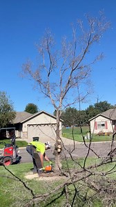 91K views · 858 reactions | #treeremoval #stumpremoval #arborist #TotalControl #radarlove | Total Control Tree Service | Facebook