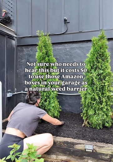 Transform Cardboard into Effective Weed Barriers