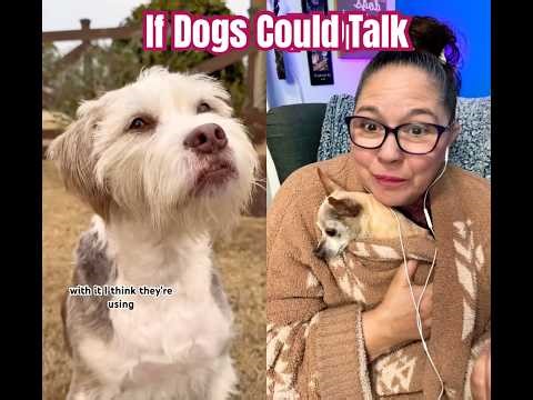 Mom and her chihuahua React to If dogs could talk… 🤣