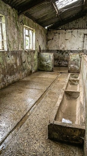 From Filthy to Spotless Pig Pen 🐷 | Deep Cleaning Timelapse