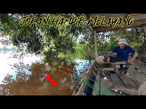 TARIKAN KERAS DI BAWAH POHON BESAR || MANCING UDANG GALAH