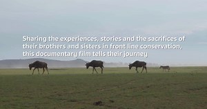 16 reactions | Ranger to Ranger is a heart-warming documentary film...