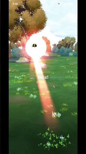 Catching 8 Shiny Vulpix and evolving 2 into Shiny Ninetales in Pokemon GO #pokemon #shiny