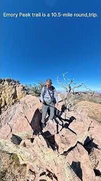 Emory Peak. Highest Point in Big Bend National Park (7,825 ft) #climbing#hiking