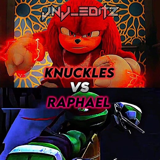 Knuckles vs. Raphael