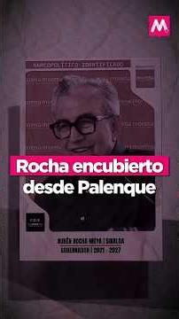 Magenta Circle | Rocha, Protected from Palenque