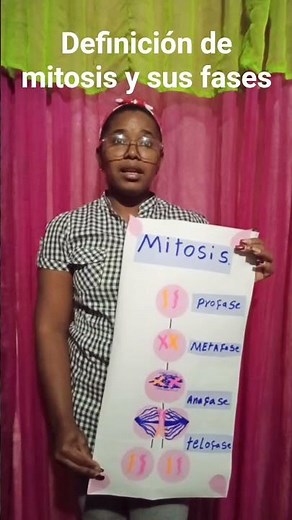 tarea de ciencias 3 la mitosis y sus fases